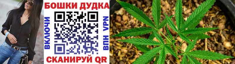 Марихуана OG Kush  мега маркетплейс  Новокубанск 